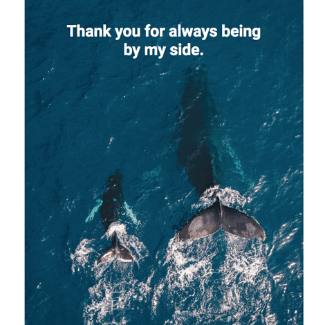 Mother's Day Whales